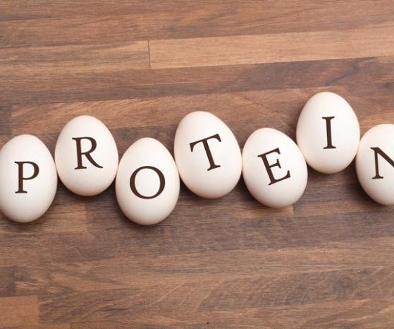 All-About-Protein