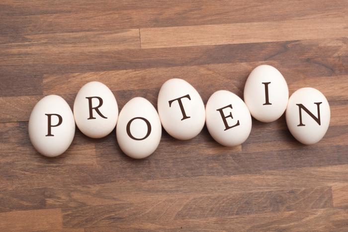 All-About-Protein