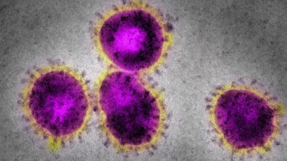 corona virus