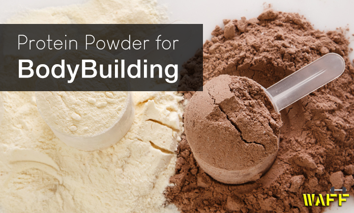 Protein Powders