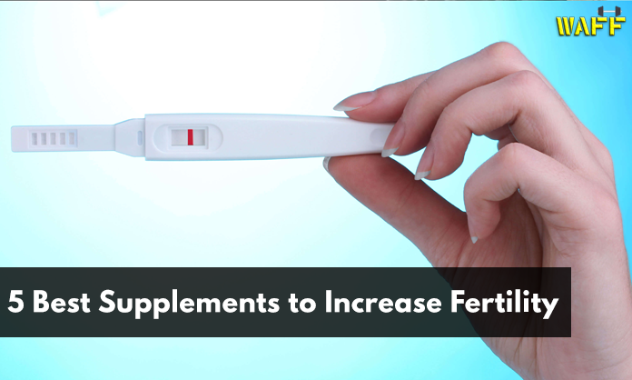 5 Best Supplements to Increase Fertility